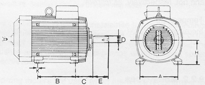 Standard dimensions for electric pump motors